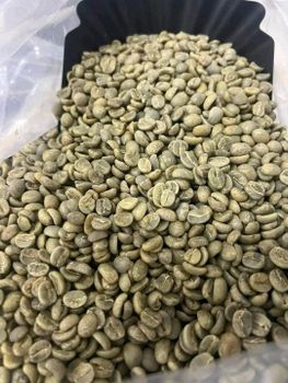 Arabica Green coffee Beans -Specialty Grade 1,Defect ,5/500g,International supplier - THE GREEN INTERNATIONAL LIMITED - Tanzania