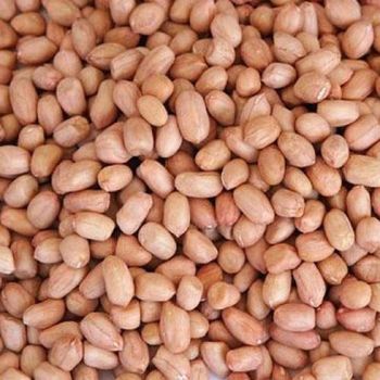 Natural Peanut Kernels for Sale with Quality Selection for Wholesale Markets and Food Ingredient Distributors from EAST LAND PROPERTIES Natural Peanut Kernels for Sale with Quality Selection for Wholesale Markets and Food Ingredient Distributors - EAST LAND PROPERTIES - Tanzania