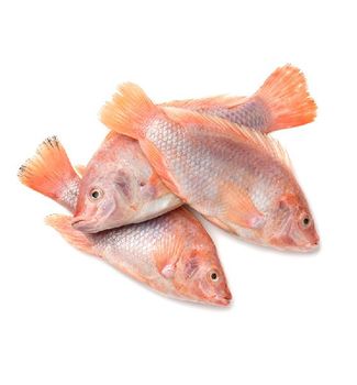 Top quality Frozen Fish Red Tilapia fillet origin Vietnam for wholesales - TANIS IMPORT & EXPORT COMPANY LIMITED - Vietnam