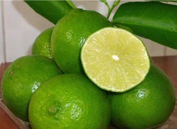 Vietnamese seedless lime Grade 1 Color Green Packaging Customize Size 12 – 18 Pieces/kg Place of Origin Vietnam Guarantee Period All – Year – Round - VIETEX AGRI  TRADING CO  LTD - Vietnam