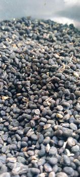 Bakuchi seed - Mohammed Trader's - India