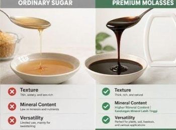 Premium Industrial Sugar Molasses (200 MT Capacity | Origin: Malaysia) - MURNI MAD TRADING - Malaysia