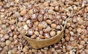 Dried Split Betel Nut Place of Origin THAILAND Place Of Origin Indonesia Active Compound Arecoline Province Propinsi Jaw - Thai Agri Company - Thailand