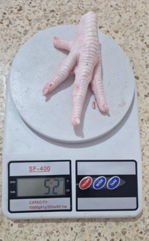 Frozen Chicken Paws Grade A – Jumbo 50g+ – IQF – Halal – Algeria - Wingz Food - Algeria