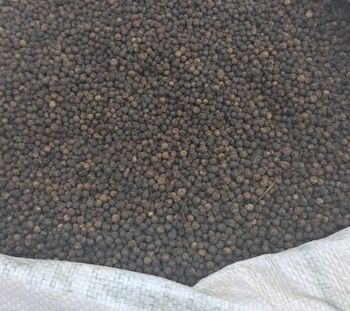 Black Pepper – product photo, Dehydrated Black Pepper products found from trusted suppliers, wholesalers, manufacturers & exporters Listing