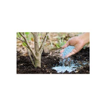 NPK fertilizer 12-12-18+2MgO+TE OEM compound fertilizer blue granular 2-4mm agricultural grade - MASI TRADING GMBH - Germany