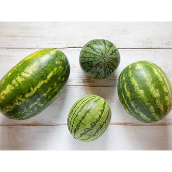 Sweet Fresh Watermelon Fruit With Affordable Prices Suppliers Production Fresh Wholesale Fruit Watermelon For Sale - KOFONS BUSINESS SOLUTIONS PTY LTD - South Africa