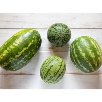 Sweet Fresh Watermelon Fruit With Affordable Prices Suppliers Production Fresh Wholesale Fruit Watermelon For Sale - KOFONS BUSINESS SOLUTIONS PTY LTD - South Africa