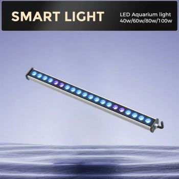 40W Tunable White-Blue Spectrum Light for Coral Coloration & Health - HIGROWSIR LTD. - China