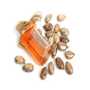 Premium Castor Seeds from TERRAMINER GROUP,INC Premium Castor Seeds - TERRAMINER GROUP,INC - United States