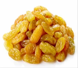 Golden Medium Indian Raisins Grade Medium Color Golden Texture Balanced Packaging Size 10 Kg Flavor Rich And Sweet Moisture Content Max 14% - Blackberry Foods Pvt Ltd - India