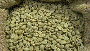 Product – product photo, Whole White Pepper products found from trusted suppliers, wholesalers, manufacturers & exporters Listing