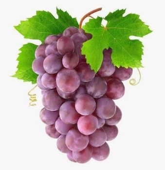 Organic Fruit Flavor Sweet Texture Juicy Quality High-quality Packaging Standard - Aliman co - Egypt