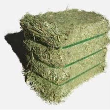Timothy Grass for Animal Feed Bulk Natural Timothy Grass High Nutrition Hay for Livestock Including Rabbits Cattle and Goats from AGRO AFRIQUE COMPANY LIMITED Timothy Grass for Animal Feed Bulk Natural Timothy Grass High Nutrition Hay for Livestock Including Rabbits Cattle and Goats - AGRO AFRIQUE COMPANY LIMITED - Tanzania