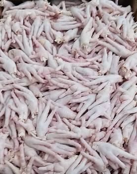 Frozen chicken paw , Grade A for Hong kong and Vietnam - ROZPED GLOBAL SP. Z O.O. - rozped global - Poland