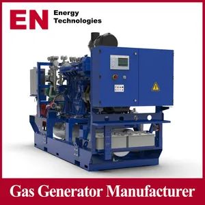China LPG Gas Generator 1MW-3MW AC 3Phase CNG LNG LPG Syngas 1Y CE ISO - Qingdao En Energy Technology Co., Ltd - China