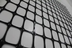 Polyester Geogrids for, Railway, Slope, Retaining Wall Reinforced - Hongxiang New Geo-Material Co., Ltd. - China