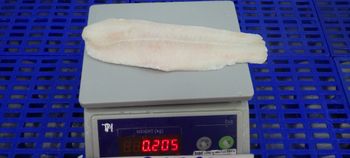 pangasius fillet - AQUA MATRIX - Vietnam