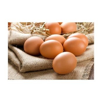 Brown chicken eggs healthy protein source fresh farm quality wholesale supply - Koto Global Trade SPRL - Belgium
