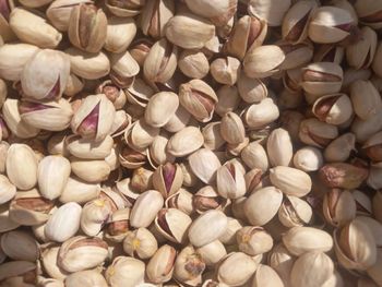 Iranian Pistachio – Fandoghi 30/32 - Middle East Sun Trade - Iran