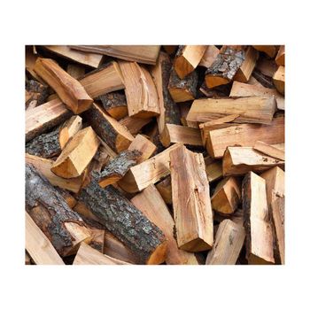 Alder firewood Transport Destination Asia Transport Means Freight Train - BMU TRADING GMBH - Germany