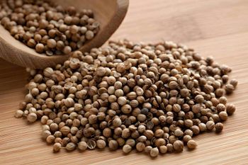 Coriander Seeds from Evergain Coriander Seeds - Evergain - Egypt