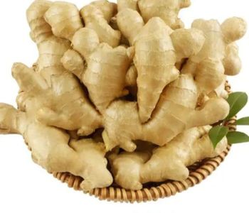High Quality Fresh Instant Ginger From Chinese Super Healthy Fresh Yellow Ginger - AL JABLI TRADING COMPANY LIMITED - Tanzania