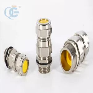 Stainless Steel Explosion Proof Cable Gland Sealed Bw Flame Proof Cable Glands ATEX - Wenzhou Quanguan Electric Co., Ltd. - China
