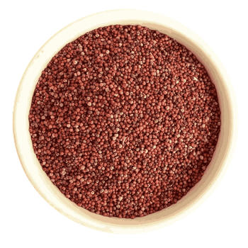 Well processed finger millet bulk order high quality grains shipment - HIGHPROFILE AGRICULTURE SERVICES LIMITED - Tanzania