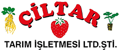 Product - ÇİLTAR FİDECİLİK ÜRETİM PAZARLAMA VE TİCARET LİMİTED ŞİRKETİ - Global