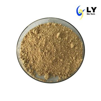 Herbal Products Wholesaler Supply Baobab Extract Color Brown Origin China Trademark NA Appearance Powder Classification - Lotusland Ltd - China