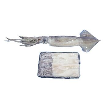 Frozen Calamari Seafood Product Prepared For Bulk Import Distribution Featuring Tender Texture And Superior Marine Flavor - TOSOH INTERNATIONAL - South Africa