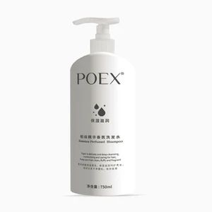 Shampoo and Hair Care Set for Hair Repair, Hair Treatment, Soft Hair, and Frizz-Free Styling - Zhejiang Jifu Daily Chemical Co., Ltd - China