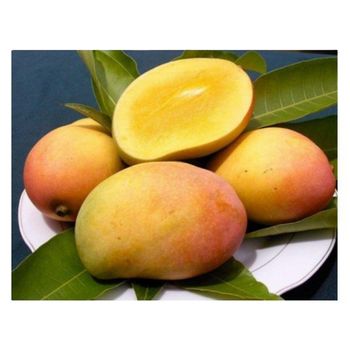 High quality Australian fresh mango varieties grade A for export - C&C INTERNATIONAL FOOD JOINT STOCK COMPANY - Vietnam