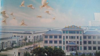 Product from SHANDONG OCEANLUCKY INT'L LOGISTICS CO., LTD. Product - SHANDONG OCEANLUCKY INT'L LOGISTICS CO., LTD. - China