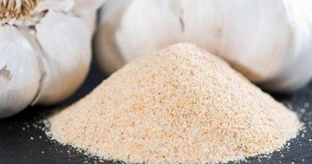 Garlic powder - AL SAAJ EXPORT & IMPORT LLP - India