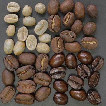Robusta Coffee Bean Export Quality Fresh Robusta Coffee Bean With Unique Rich Aroma And Natural Flavor Profiles For Traders - THE GREEN INTERNATIONAL LIMITED - Tanzania