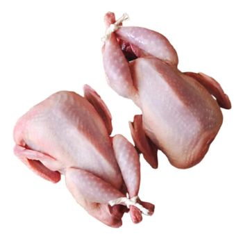 Fresh Frozen Chicken Whole Chicken and Cuts Vacuum Packed Long Shelf Life Ideal for Cooking and Processing – product photo, Fresh Chicken Breast products found from trusted suppliers, wholesalers, manufacturers & exporters Listing