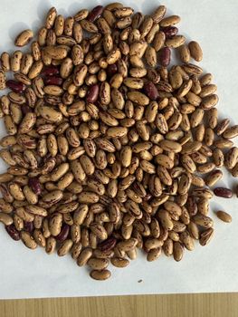 Light Speckled Kidney Beans - Seven Hills Agro Commodities FZCO - United Arab Emirates
