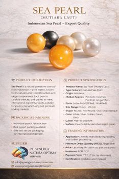 Sea Pearl Luster Natural Size Uniformity Uniform Origin Indonesian Waters Quality Grade Export-grade Intended Use Jewelry And International Trade - PT. Synergy Natura Optima - Indonesia