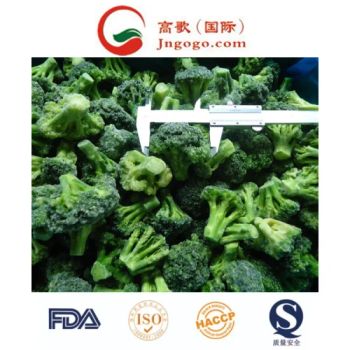 New Crop Good Price Frozen Broccoli and Frozen Vegetables Origin Shandong HS Code 0710809090 Storage Temperature <-18℃ Production Capacity 2000 - Jinan Gogo International Trade Co., Ltd. - China