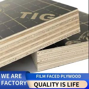 Film Faced Plywood and Building Boards and Plywood Origin China Usage Outdoor Material Poplar Thickness 9-28mm Trademark - Linyi lion International trade Co., LTD - China