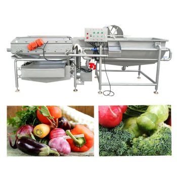 Bf Stainless Steel Eddy Current Vegetable Fruit Bubble Washing Machine - Zhengzhou Benfu Industrial Co., Ltd. - China