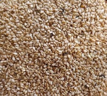 Semsem Seed from Interseas Trading Company Semsem Seed - Interseas Trading Company - Somalia