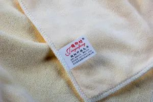 High GSM Microfiber Weft with Hair Knitted Towels with Different Sizes and Colors Customized - Yuanshi County Zhengheng Textile Co., Ltd. - China