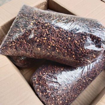 Cloves Quality High Place of Origin - Pt ragil jaya mandiri project - Indonesia