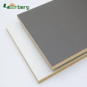 Pet Skin Panel Decorative Polyester Panel Plastic Wall Covering Sheets - Linyi Leberg International Trade Co., Ltd. - China
