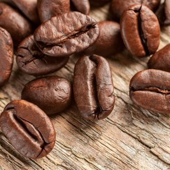 Wholesale Organic Bulk Roasted Coffee-Premium Grade 100% Pure Arabica Beans with High Purity and Price - AGRONOVA - United States