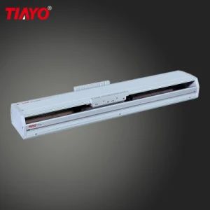 Heavy Load Long Stroke Ball Screw Servo Motor Linear Actuator - Hunan Tianyou Precision Technology Co., Ltd. - China