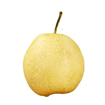 Export juicy and crisp fresh fruit snow pear New Ya pear golden pear - Zhendole Trading (hebei) Co., Ltd. - China